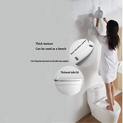 Toilet Lid-Slim Zero-Non Electric Bidet Seat for Elongated Toilet, Dual Nozzle, Nightlight, White/U Type (U Type)