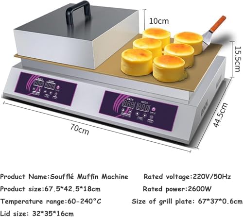 Japanese Souffle Pancake Maker, Non-Stick Electric Griddle with 60-240℃ Temp Control, Stainless Steel Doublehead for Perfect Pancakes & Snacks,Doublehead