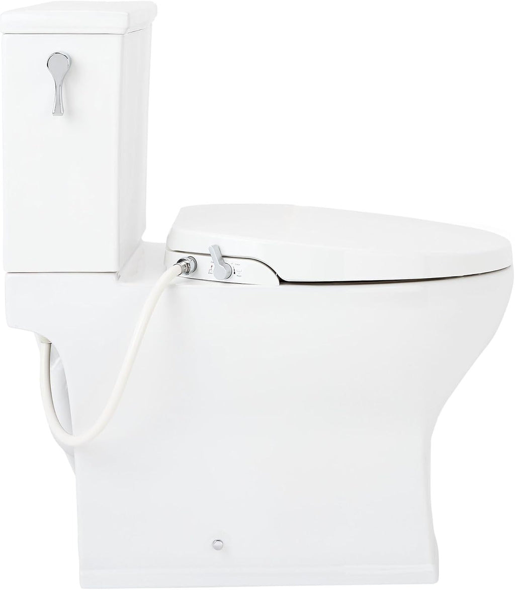 Signature Hardware 481682 Carraway 1.28 GPF Two Piece Elongated Toilet - Bidet Seat Included, ADA Compliant - White