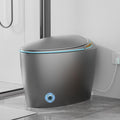 SouNor Tankless Smart Toilet with Bidet Built In, Heated Seat, Warm Water and Dry, 17' Comfortable Height and Night Light, Auto Flush, Auto Open & Close, Egg Design Gray
