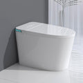 Luxury Intelligent Smart Toilet with Instant Warm Water Sprayer and Dryer, Auto Flush,Foot Sensor Operation, Adjusted Temp Heated Bidet Seat, LED Display White