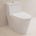 DeerValley Elongated One Piece Toilet with Standard Height Quick Release Seat Dual Flush 1.1/1.6 GPF White 12' Rough In Bathroom Toilet