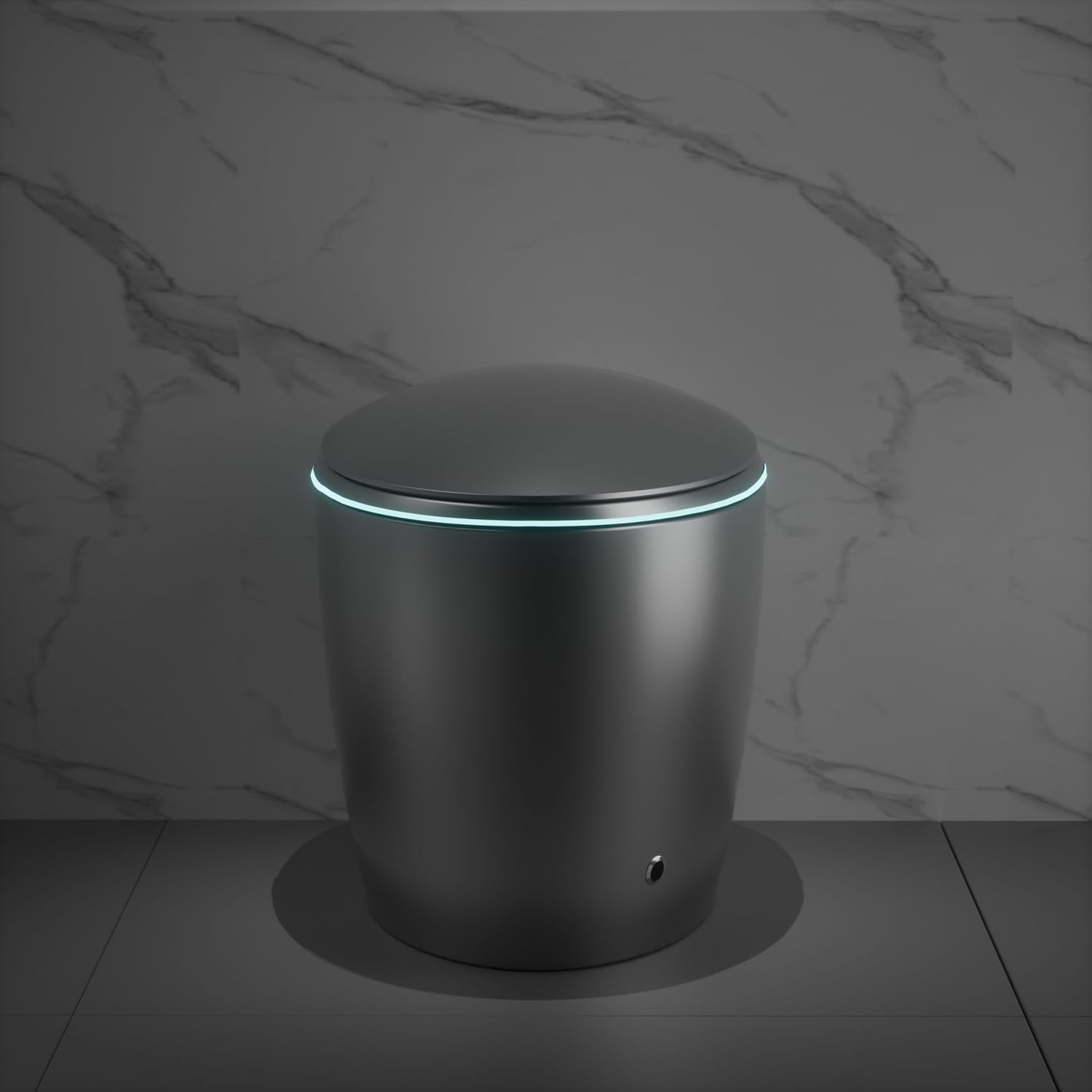 12' Elongated Smart Toilet with Egg-Shaped Night Light,Auto Flush Open & Close Seat,Build-in Bidet Seat,Multi-Function Flushing Mode,LED Display (Matte Gray)