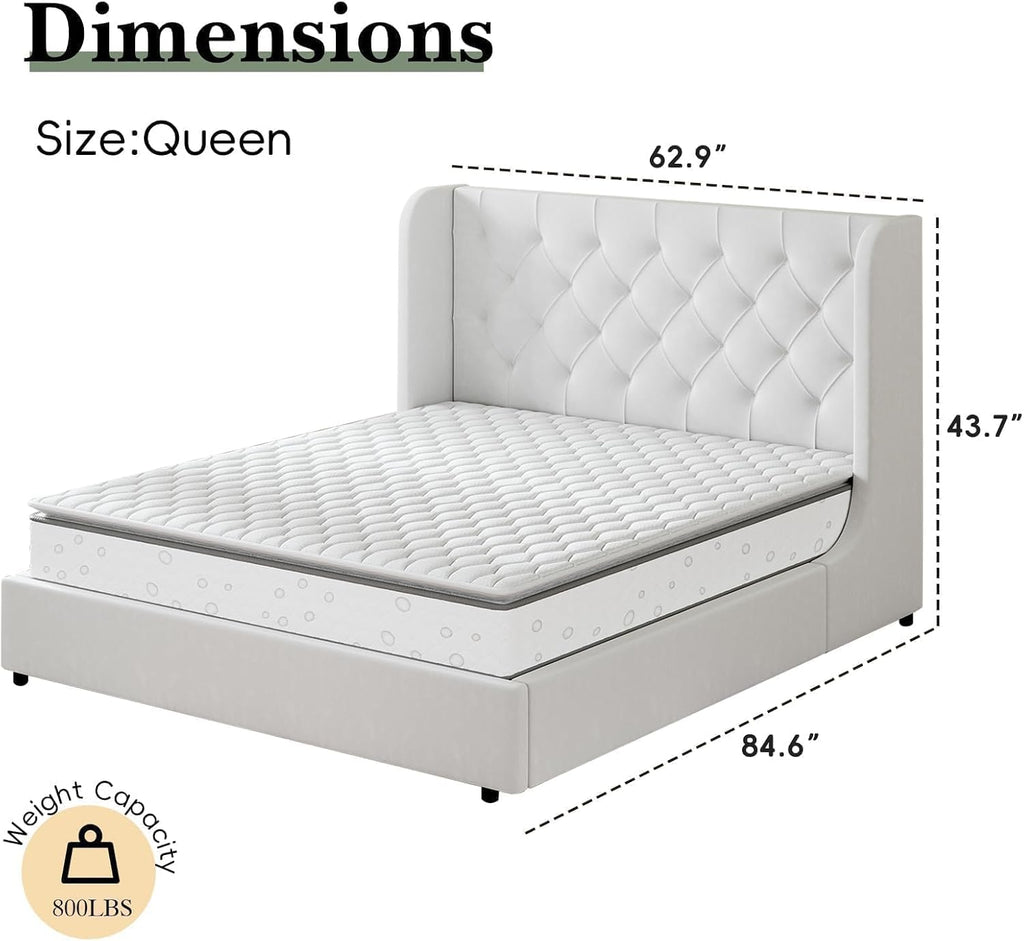 HOMBCK White Queen Bed Frame, Velvet Upholstered Platform Bed Frame with Headboard, Curved Wingback Design, Wooden Slats, No Box Spring, Noise Free, Easy Assembly