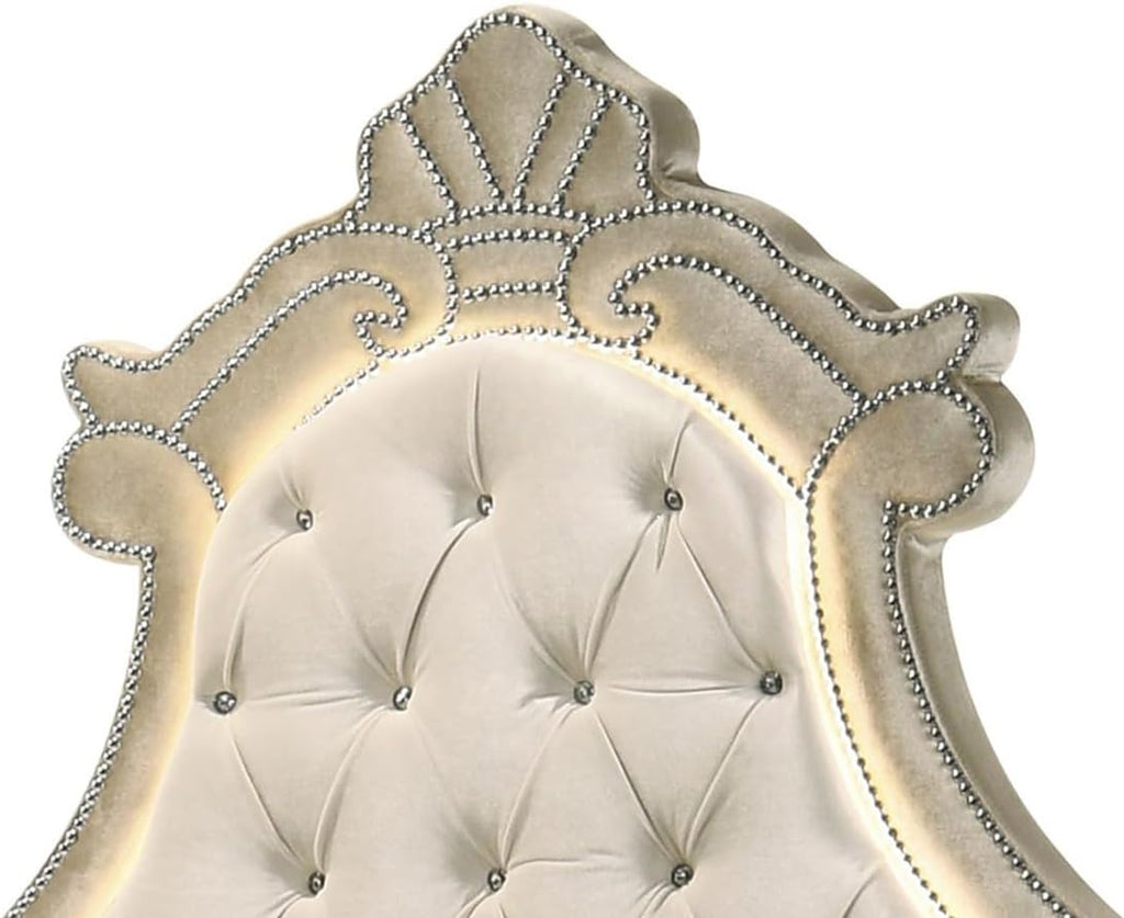 Acme Lucienne Velvet Upholstered Queen Bed with LED in Beige