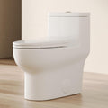 DeerValley Elongated Toilet with Comfort ADA Seat Height Modern 12' Rough-In One Piece Toilet for Bathroom Dual Powerful Flush DV-1F026Pro