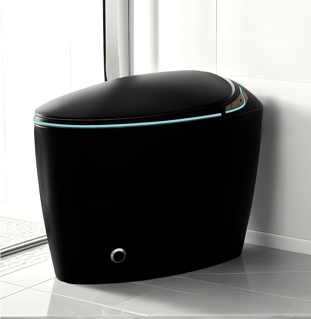 WinZo Bidet Toilet 10' Rough-in,Smart Toilet With Bidet,Oval Egg Modern Shaped, Auto Open/Flush, Adjusted Heated Seat, Warm Water and Dryer, Night Light, Matte Black