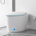 SouNor Tankless Smart Toilet with Bidet Built In, Heated Seat, Warm Water and Dry,Egg Design Foot Sensor and Night Light, Auto Flush, Auto Open & Close Lid,White