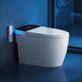 Luxury Smart Toilet, Elongated One Piece Toilet with Heated Seat, Dryer, Auto-Lift Lid, Soft Close, Electric Tankless Bidet Toilets for Bathroom with Siphon Dual Flush 0.8/1.2 GPF, MAP 1000g