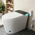 TDH Smart Toilet, Heated Seat with Warm Water Sprayer & Dryer, Walk Away Auto Flush and Close,One Piece Toilet for Bathrooms with Remote Control (T08 PRO)