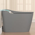 SouNor Grey Smart Toilet with Bidet Built In, Heated Seat, Warm Water and Dry, ADA Comfort Night Light, Auto Flush, Auto Open & Close Lid, Matte Grey