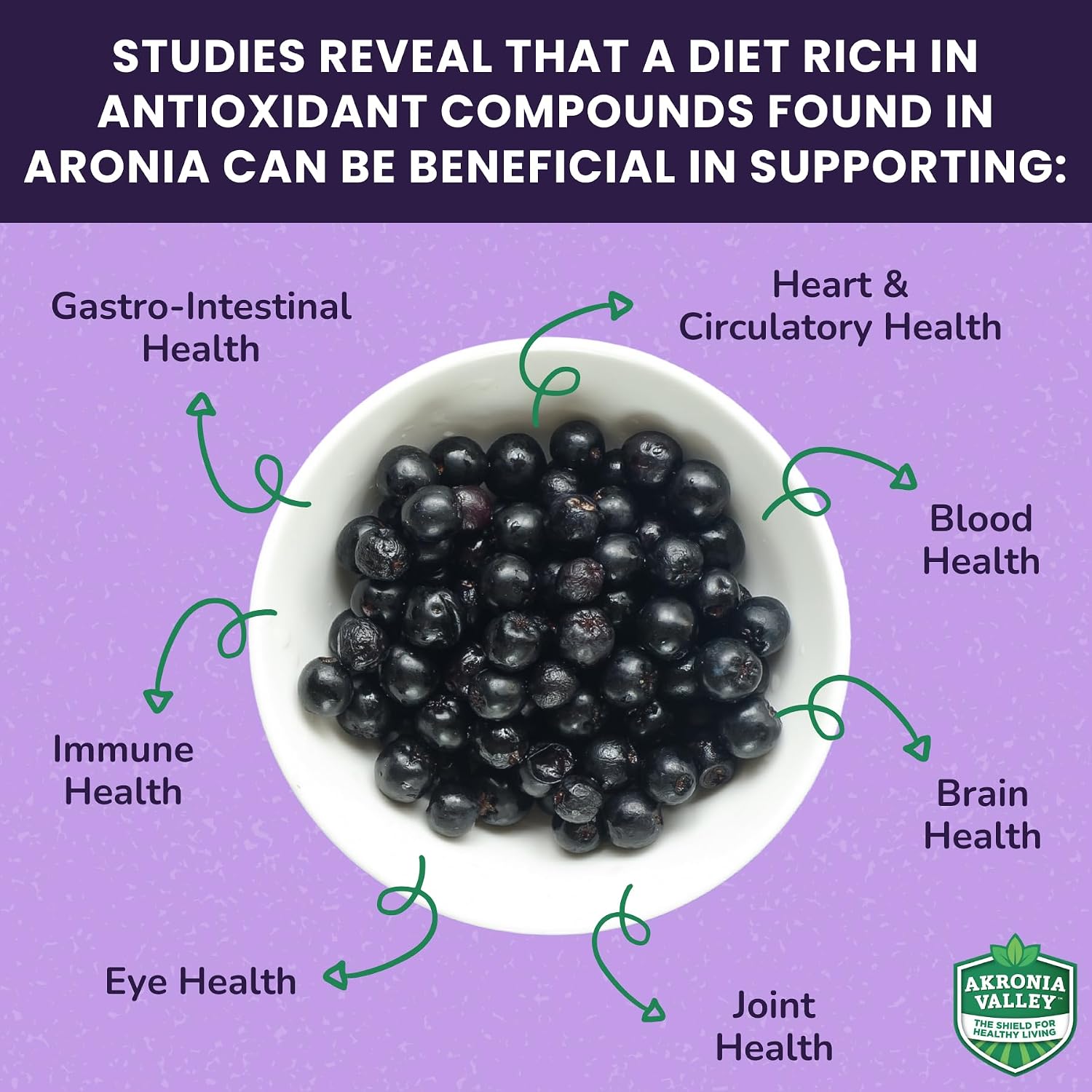 100% Aronia Berry Juice - Highest Antioxidant Superfood | 16 Fl Oz (Pack of 12) 110 Servings | Gluten-Free, No Sugar, Non-GMO Chokeberry Juice