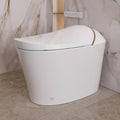 DeerValley Smart Toilet with Bidet Built In, Tankless Toilet with Heated Bidet Seat, Auto Flush, Warm Water & Dryer, Deodorization, and Remote Control