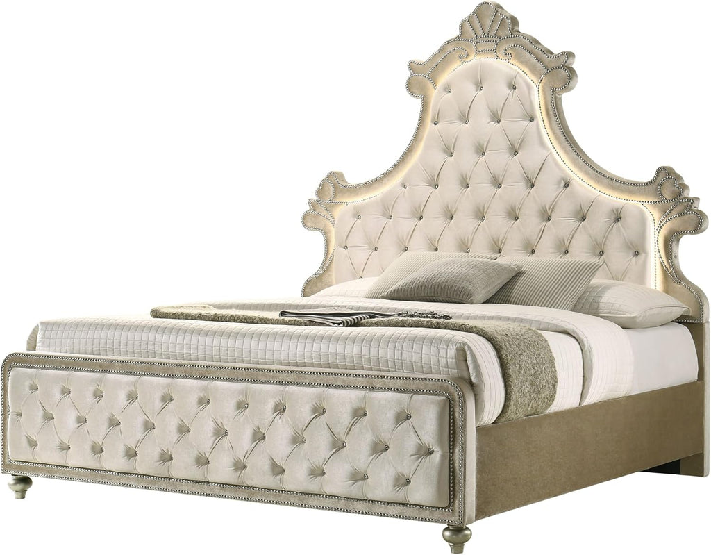 Acme Lucienne Velvet Upholstered Queen Bed with LED in Beige