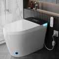 TDH Luxury Smart Toilet, Heated Seat with Remote Control, Walk Away Auto Flush and Close,One Piece Toilet for Bathrooms with Warm Water Sprayer & Dryer