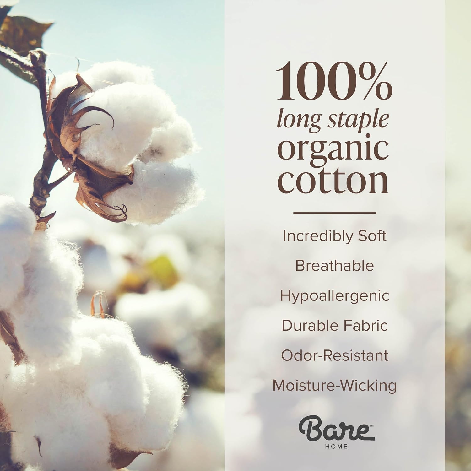 Bare Home 100% Organic Cotton Split King Sheet Set - Crisp Percale Weave - Lightweight & Breathable - Bedding Sheets & Pillowcases (Split King, Light Grey)