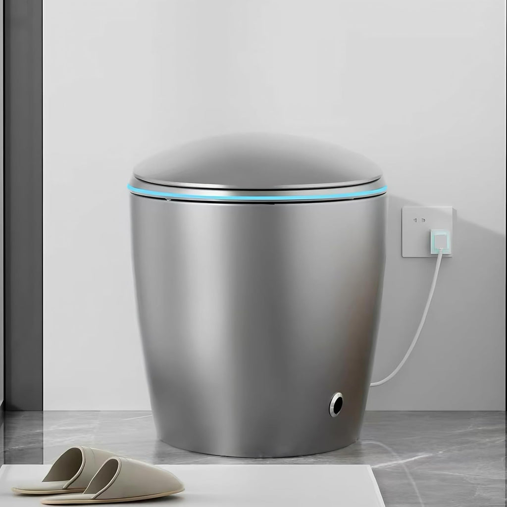 SouNor Modern Smart Toilet with Bidet Heated Seat, Auto Flush,Varied Cleaning Mode,Foot Sensor,Night Light,Auto Open & Soft Close Seat,Warm Air Drying,Gray