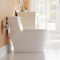 DeerValley Elongated One-Piece Toilet with Standard Height 1.1/1.6 Dual Flush Toilets with Soft Closing Seat and Black Button