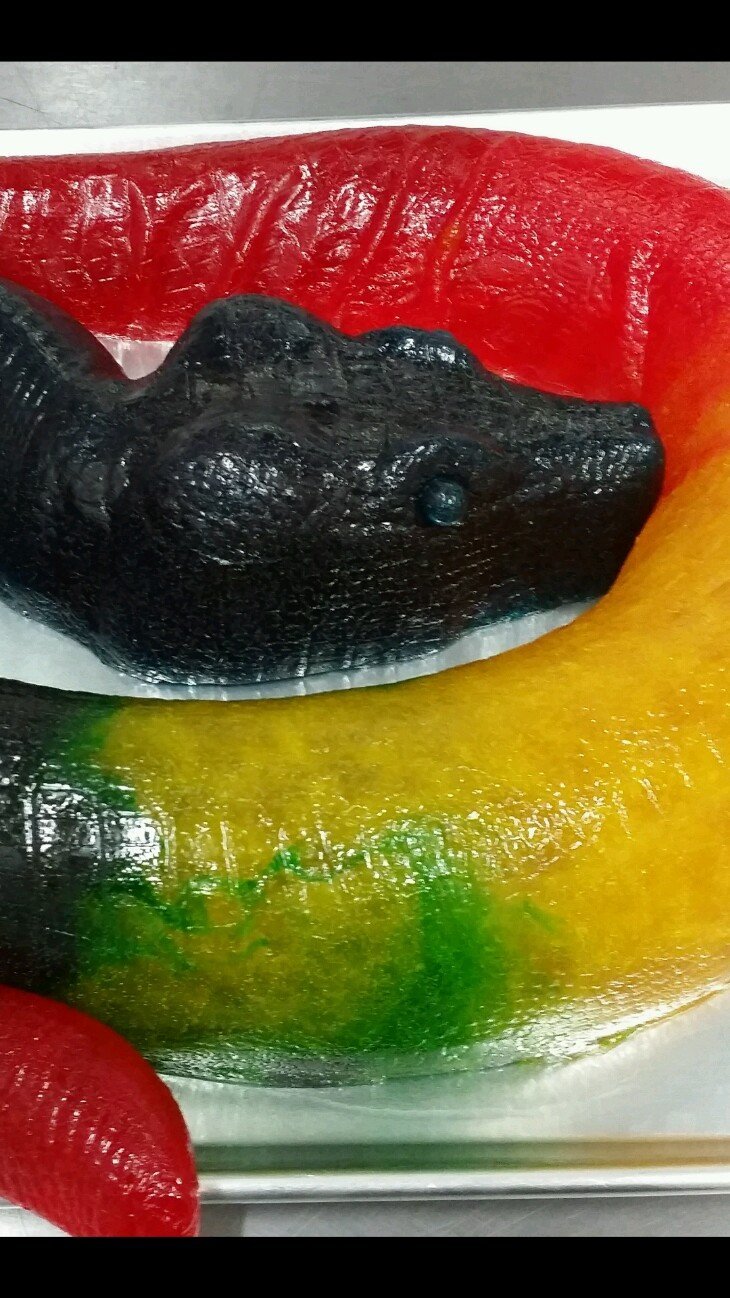 The Gummy Bear Guy (TM) | World's Biggest Gummy (TM) | Party Python