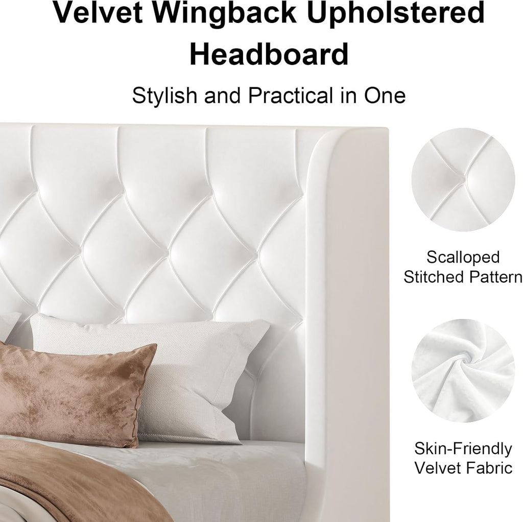 HOMBCK White Queen Bed Frame, Velvet Upholstered Platform Bed Frame with Headboard, Curved Wingback Design, Wooden Slats, No Box Spring, Noise Free, Easy Assembly