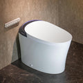 CANEST Smart Toilet with Foam Shield, 17.5' ADA Chair Height, 1.1/1.6GPF Dual-Flush Bidet Toilet, 12' Rough-in, One Piece Toilet, Auto Open/Close, Instant Hot Water, Eco Mode, Deodorization