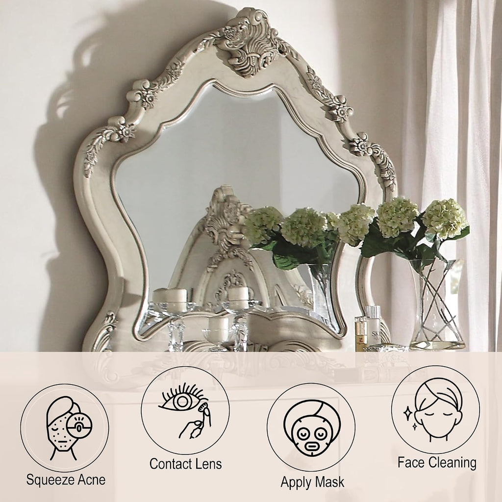 ACME Furniture Ragenardus Mirror, Antique White