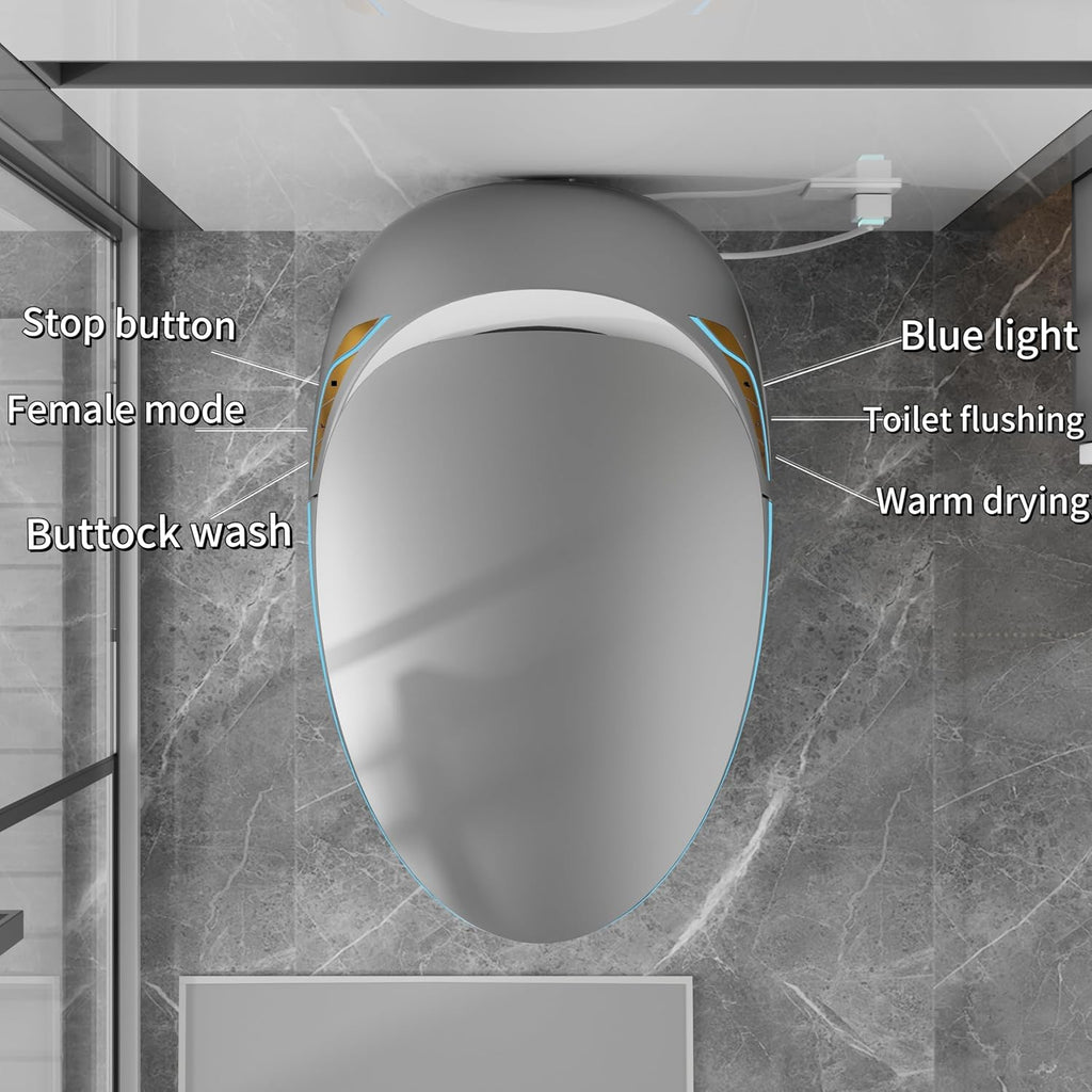 SouNor Modern Smart Toilet with Bidet Heated Seat, Auto Flush,Varied Cleaning Mode,Foot Sensor,Night Light,Auto Open & Soft Close Seat,Warm Air Drying,Gray