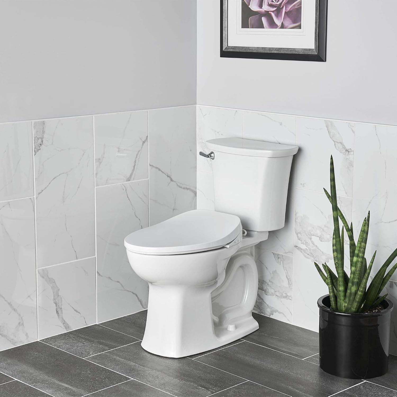 American Standard 8019A60GPC.020 AquaWash 2.0 Electric SpaLet Bidet Seat With Manual Operation, White