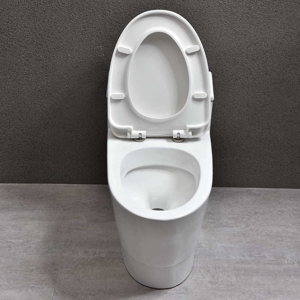 WOODBRIDGE Modern Design, One Piece Dual Flush 1.0/1.6 Gpf,with Soft Closing Seat, White, Elongated Toilet, B0735/T-0018